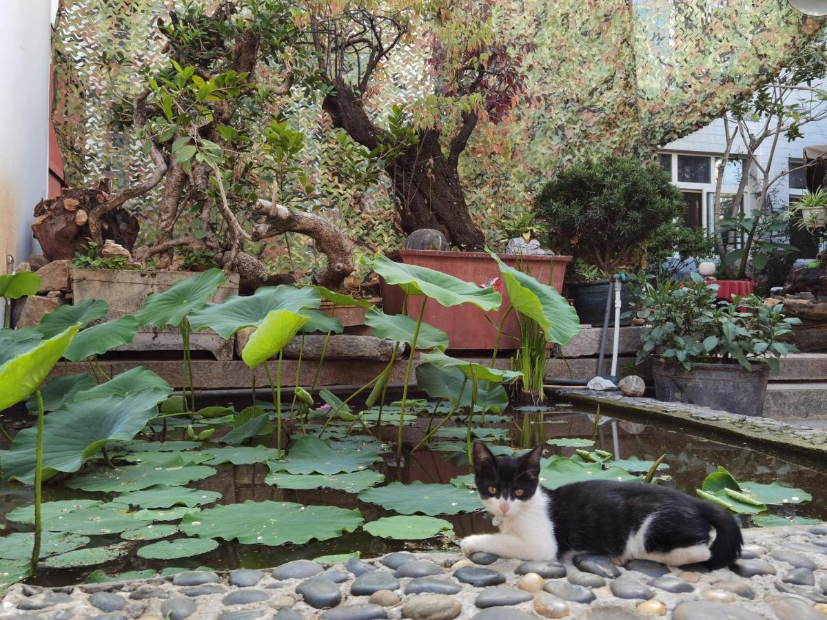 The Lily Pad Inn Dali  Dış mekan fotoğraf