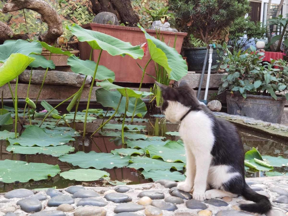The Lily Pad Inn Dali  Dış mekan fotoğraf