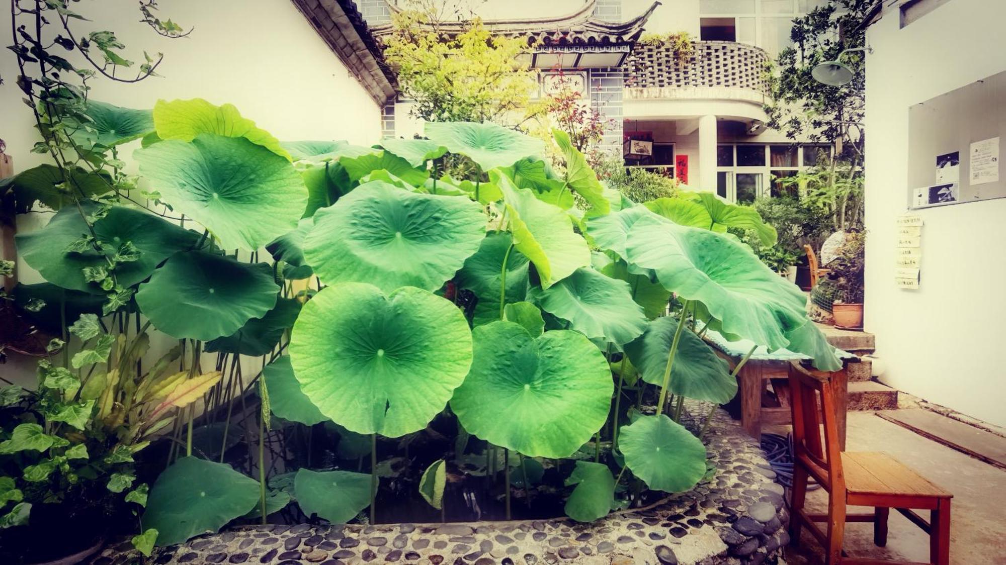 The Lily Pad Inn Dali  Dış mekan fotoğraf
