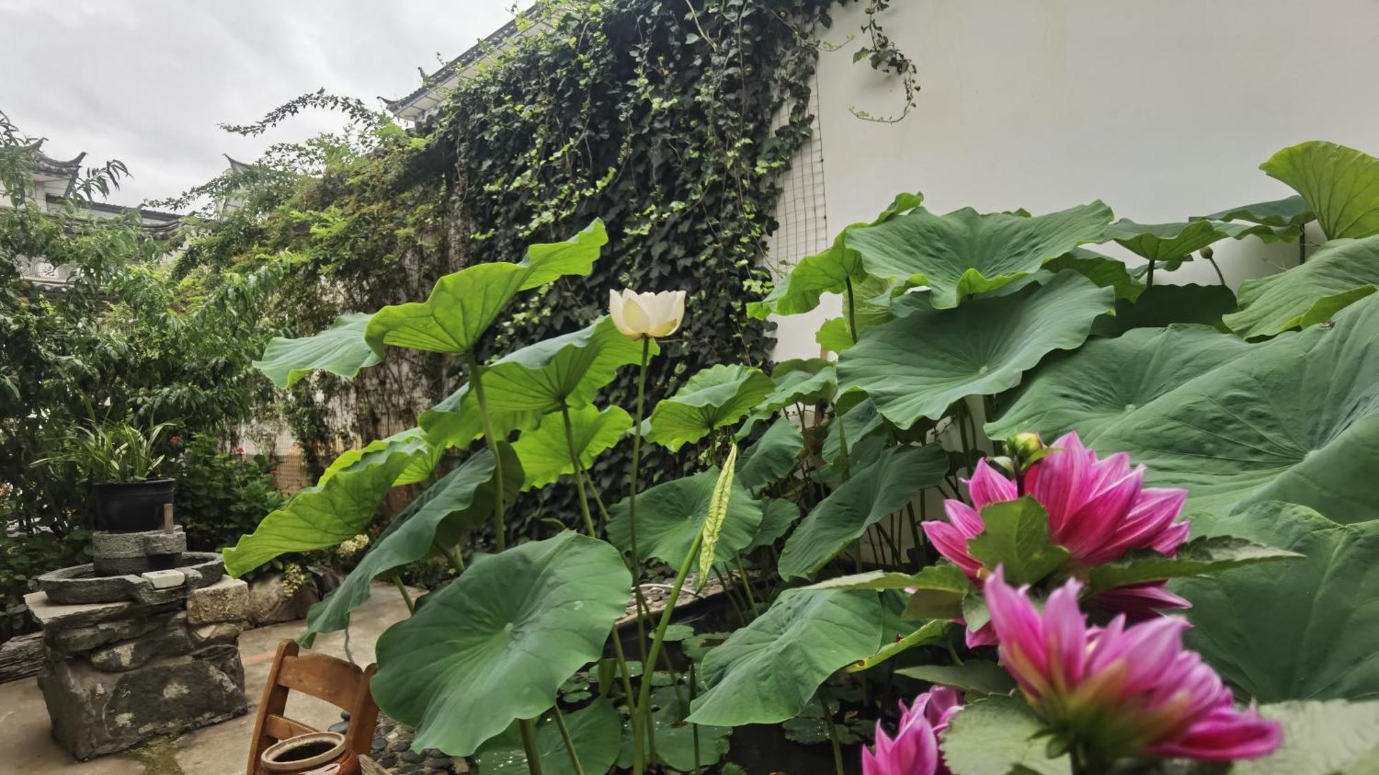 The Lily Pad Inn Dali  Dış mekan fotoğraf